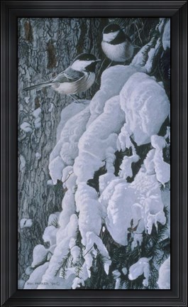 Framed Chickadees In Snow Print