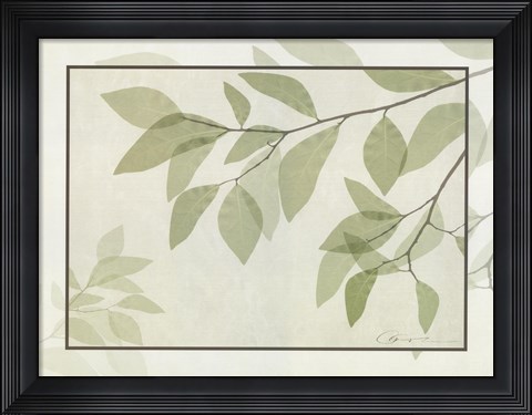 Framed Ghost Leaves II Print
