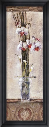 Framed Zen Orchid I Print