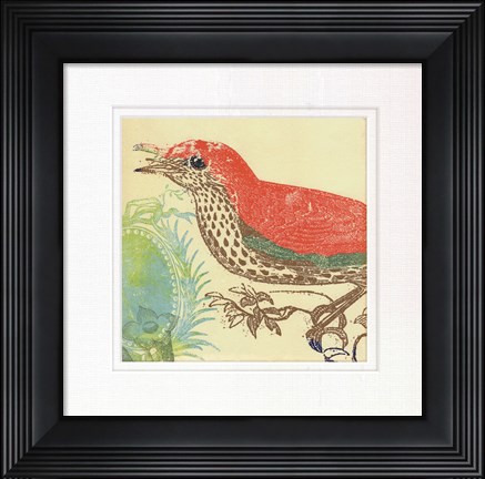 Framed Red Bird Print