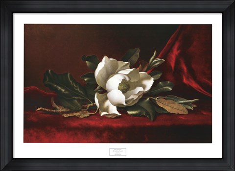 Framed Magnolia Flower Print