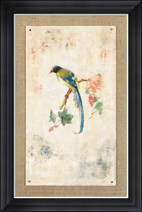 Framed Blue Magpie Print