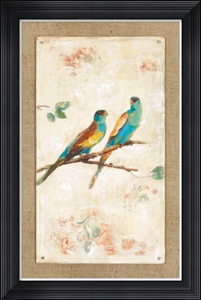 Framed Hooded Parrot Print