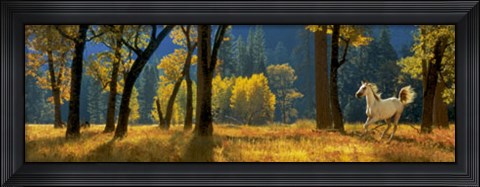 Framed Running Free Print