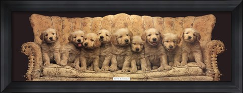 Framed Golden Pup Line-Up Print