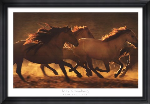 Framed Into The Light Print