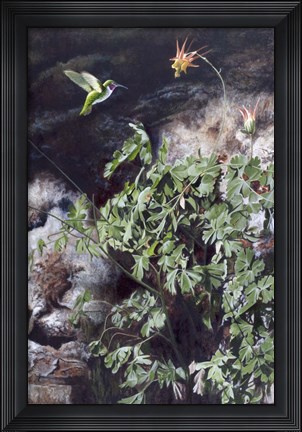 Framed Hummingbird Print