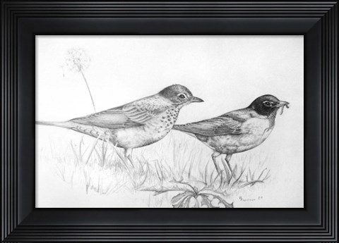 Framed Two Bird Study Print