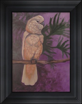 Framed Cockatoo Print