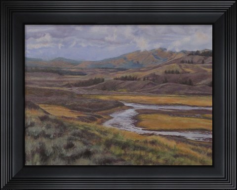 Framed Hayden Valley Print