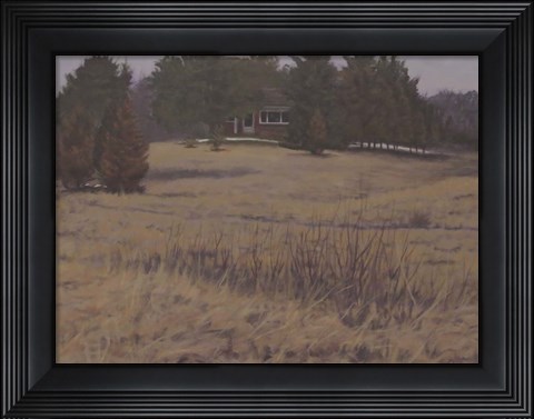 Framed Kensington Field Print