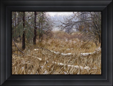 Framed Kensington Metro Park Trail Print