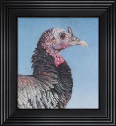 Framed Rainbow Bird Print