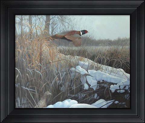 Framed Cruisin? Print