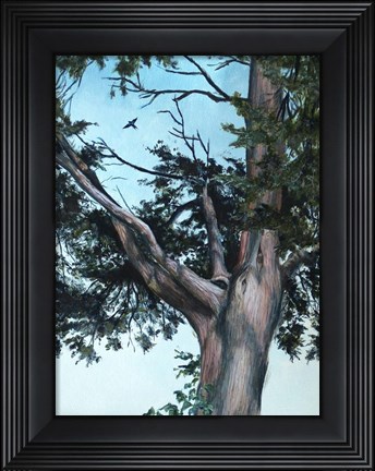 Framed Juniper Tree Print