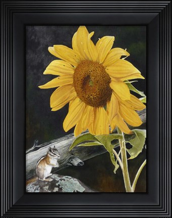 Framed Sunflower and Chipmunck Print