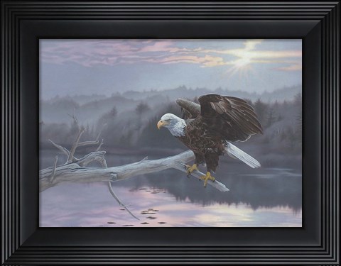 Framed Huron Eagle Print