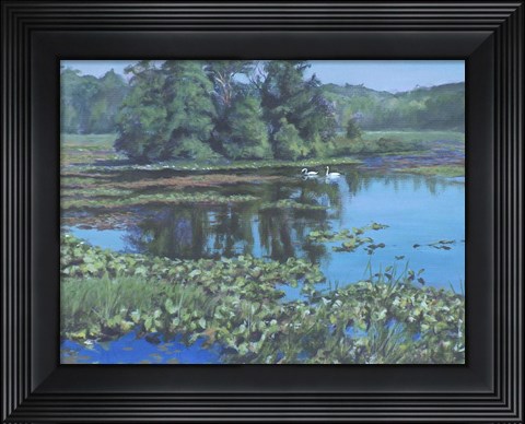 Framed Sunday Swans Print