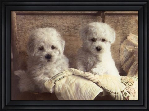 Framed Twice As Nice Print