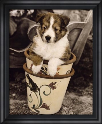 Framed Potted Pup Print