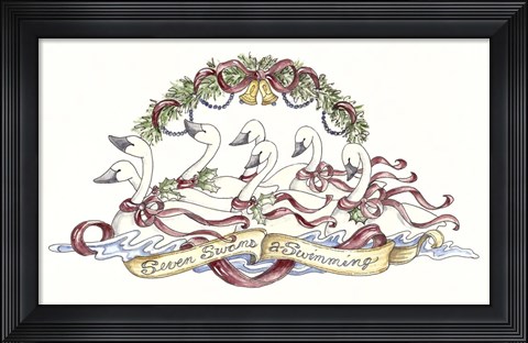 Framed Seven Swans A Swimming Print
