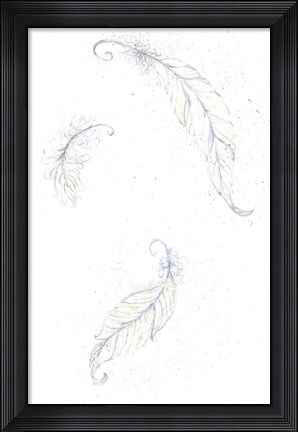 Framed Feathers Print