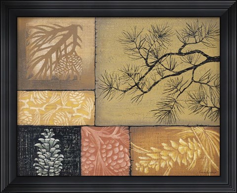 Framed Pine Cones 1 Print