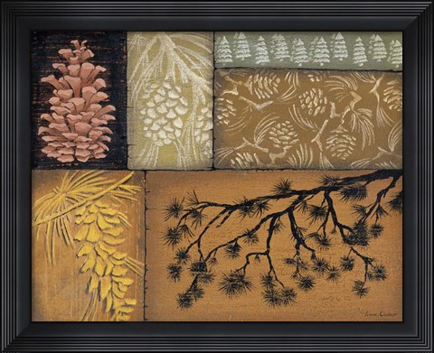 Framed Pine Cones 2 Print