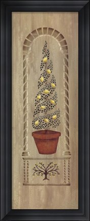 Framed Topiary 2 Print