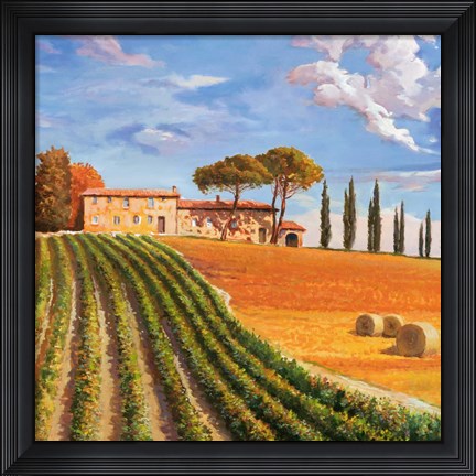 Framed Colline Toscane (Detail) Print