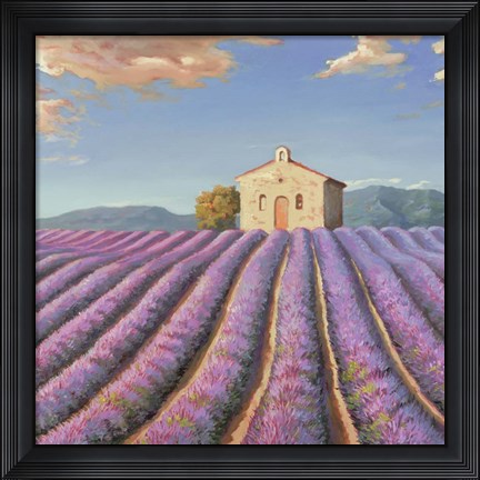 Framed Campi di Lavanda (Detail) Print