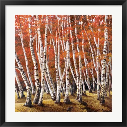 Framed Bosco di Betulle I Print