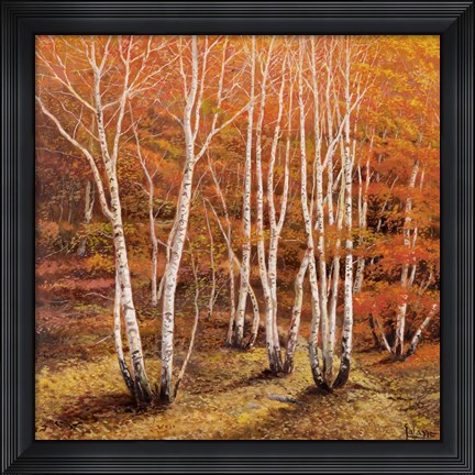 Framed Bosco di Betulle II Print
