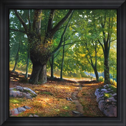 Framed Luce nel Bosco Print