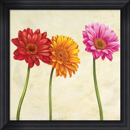 Framed Gerberas (Detail) Print