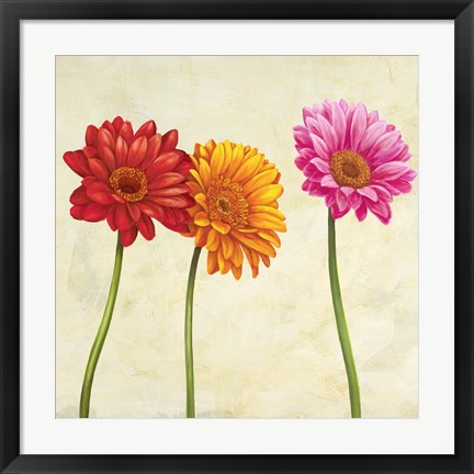 Framed Gerberas (Detail) Print