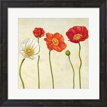 Framed Coquelicots (Detail) Print