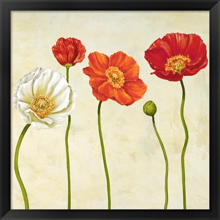 Framed Coquelicots (Detail) Print