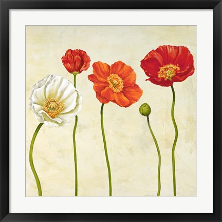 Framed Coquelicots (Detail) Print