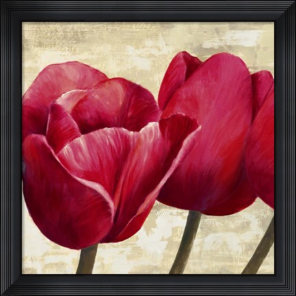 Framed Red Tulips (Detail) Print