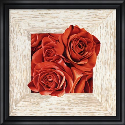 Framed French Roses I Print