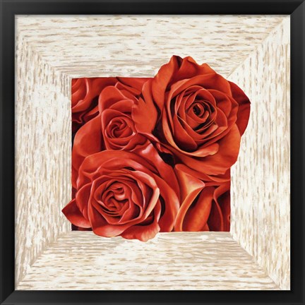 Framed French Roses I Print