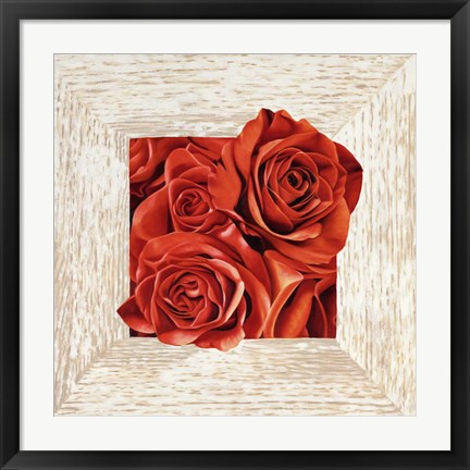 Framed French Roses I Print