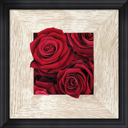 Framed French Roses II Print