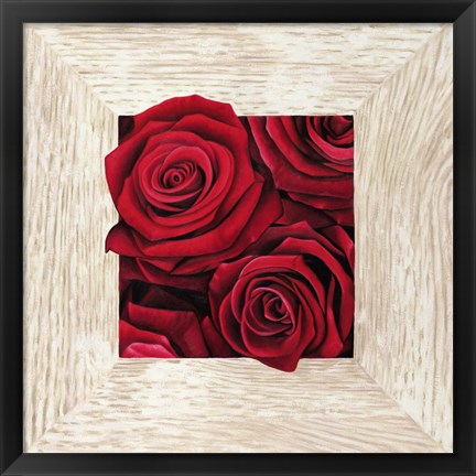 Framed French Roses II Print