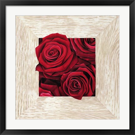 Framed French Roses II Print