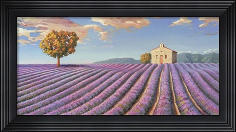 Framed Campi di Lavanda Print
