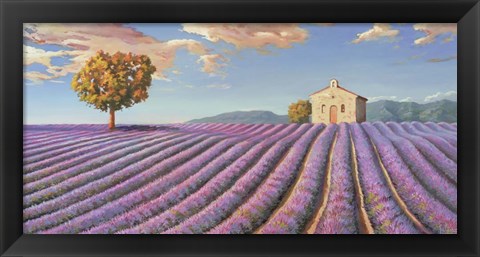 Framed Campi di Lavanda Print