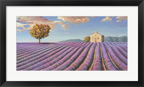 Framed Campi di Lavanda Print