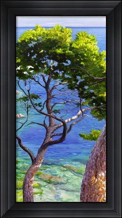 Framed Lavandou II Print